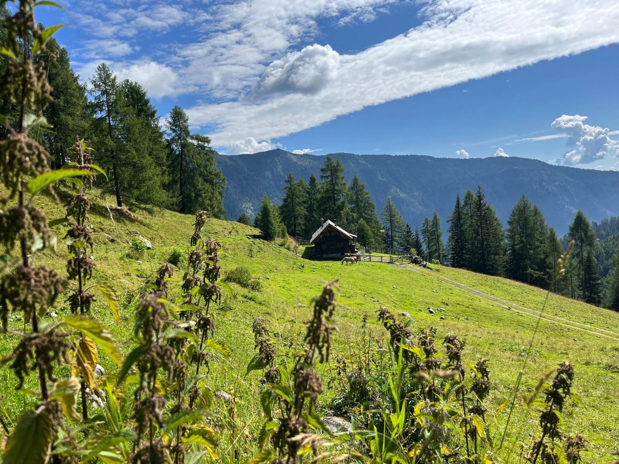 Haus Holzer Lägenhet Sankt Andrä im Lungau Exteriör bild